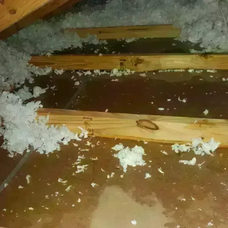 Attic Water Damage in Liberty, TX