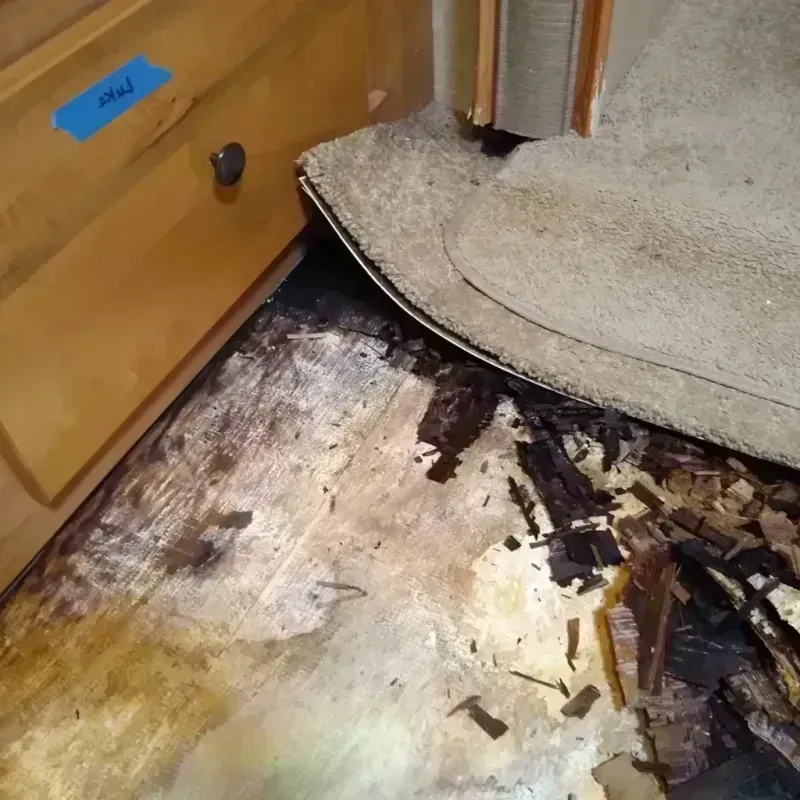 Wood Floor Water Damage in Liberty, TX